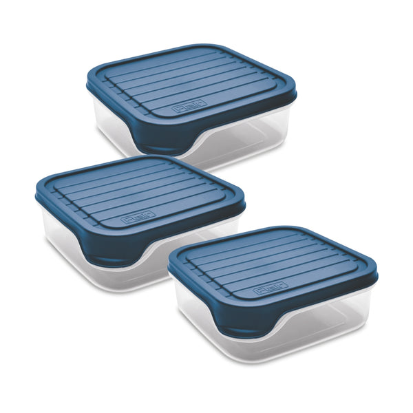 Storewell Storage Containers (550 ml)